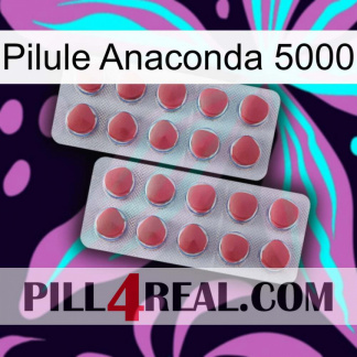 Anaconda 5000 Pill 19